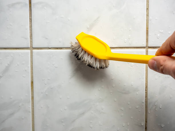 Best Black Mold Remediation in Wynnewood, OK
