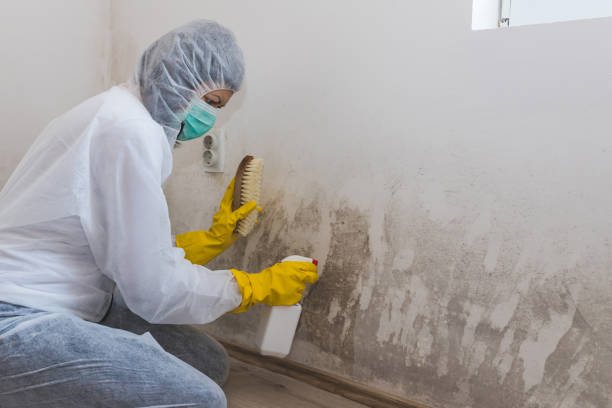 Best Bathroom Mold Remediation in Wynnewood, OK