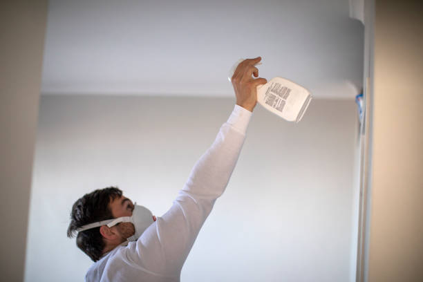Best Preventive Mold Services in Wynnewood, OK