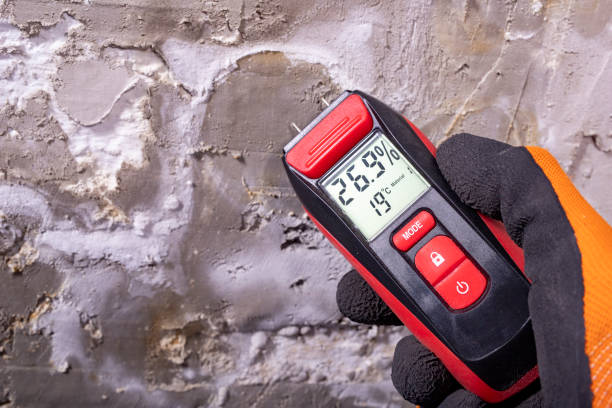 Best Crawl Space Mold Remediation in Wynnewood, OK