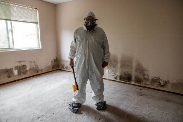 Best Insurance-Related Mold Remediation in Wynnewood, OK